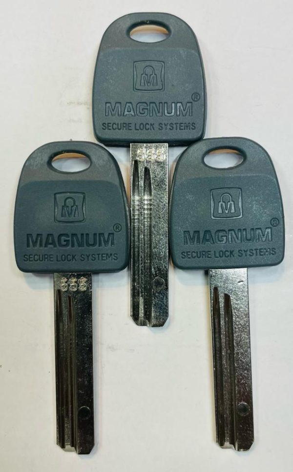 שכפול מפתח מגנום פין מגנטי MAGNUM MAGNTIC PIN